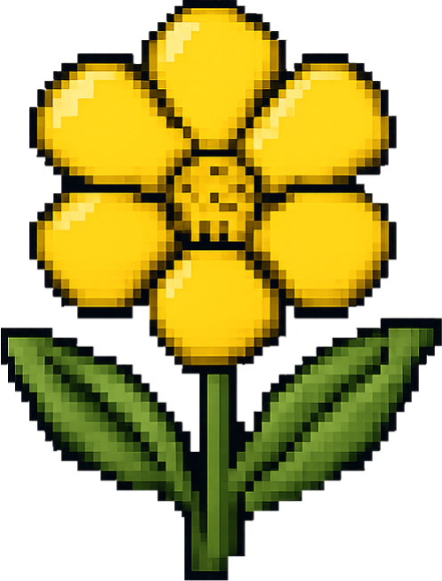 Bloom